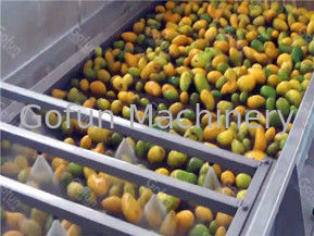 SUS 316L Машина для обработки сока манго 10 - 100T/D